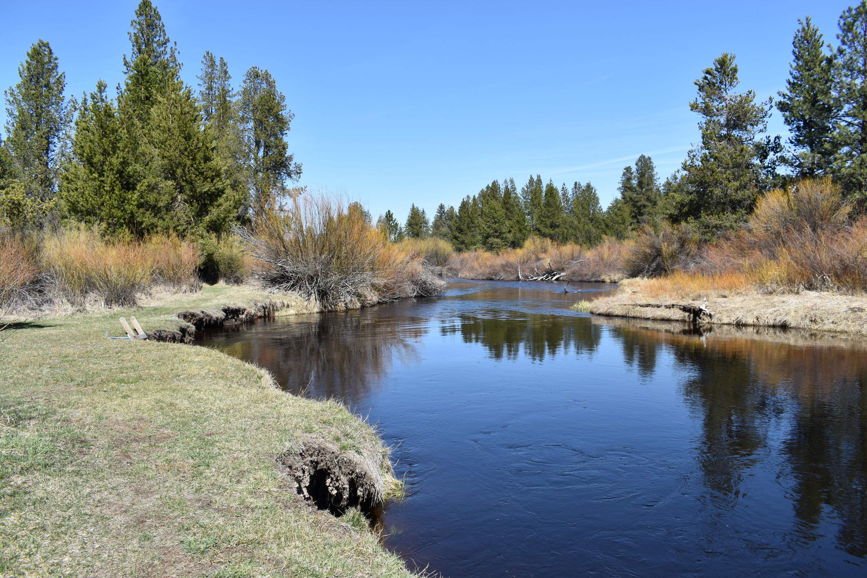Little River Ranch - Land