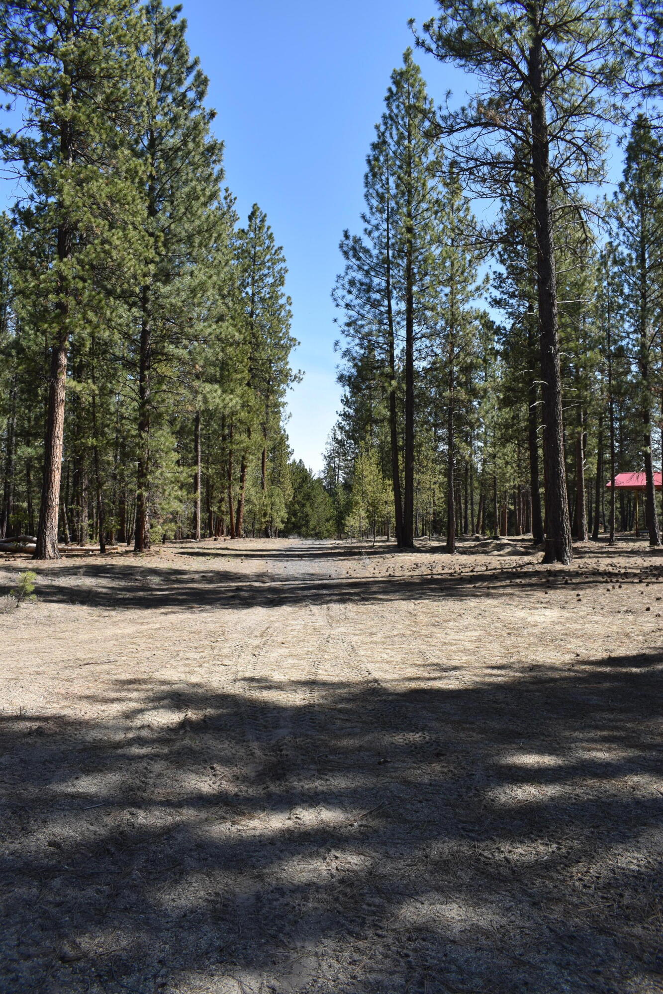 Little River Ranch - Land