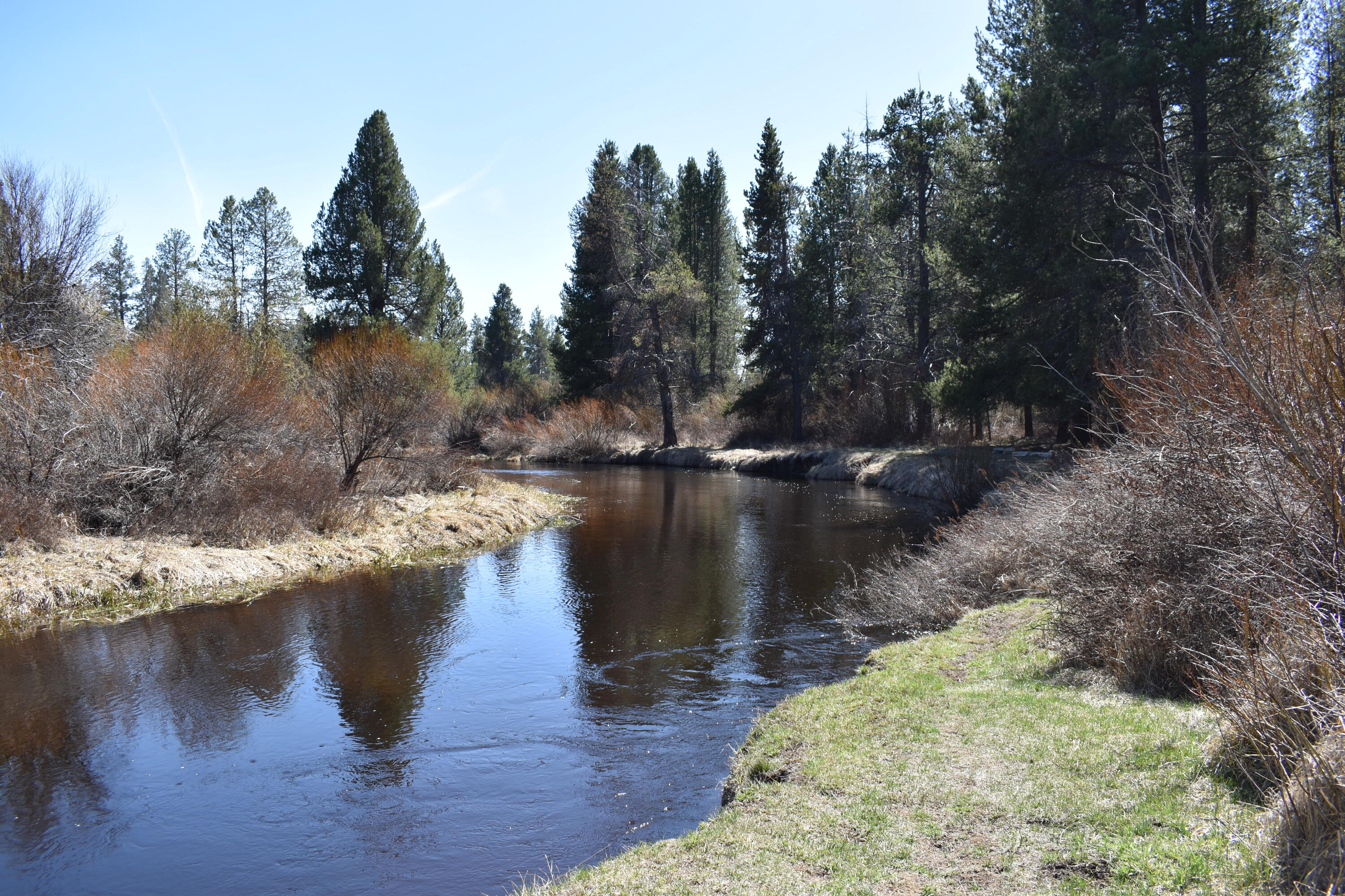 Little River Ranch - Land