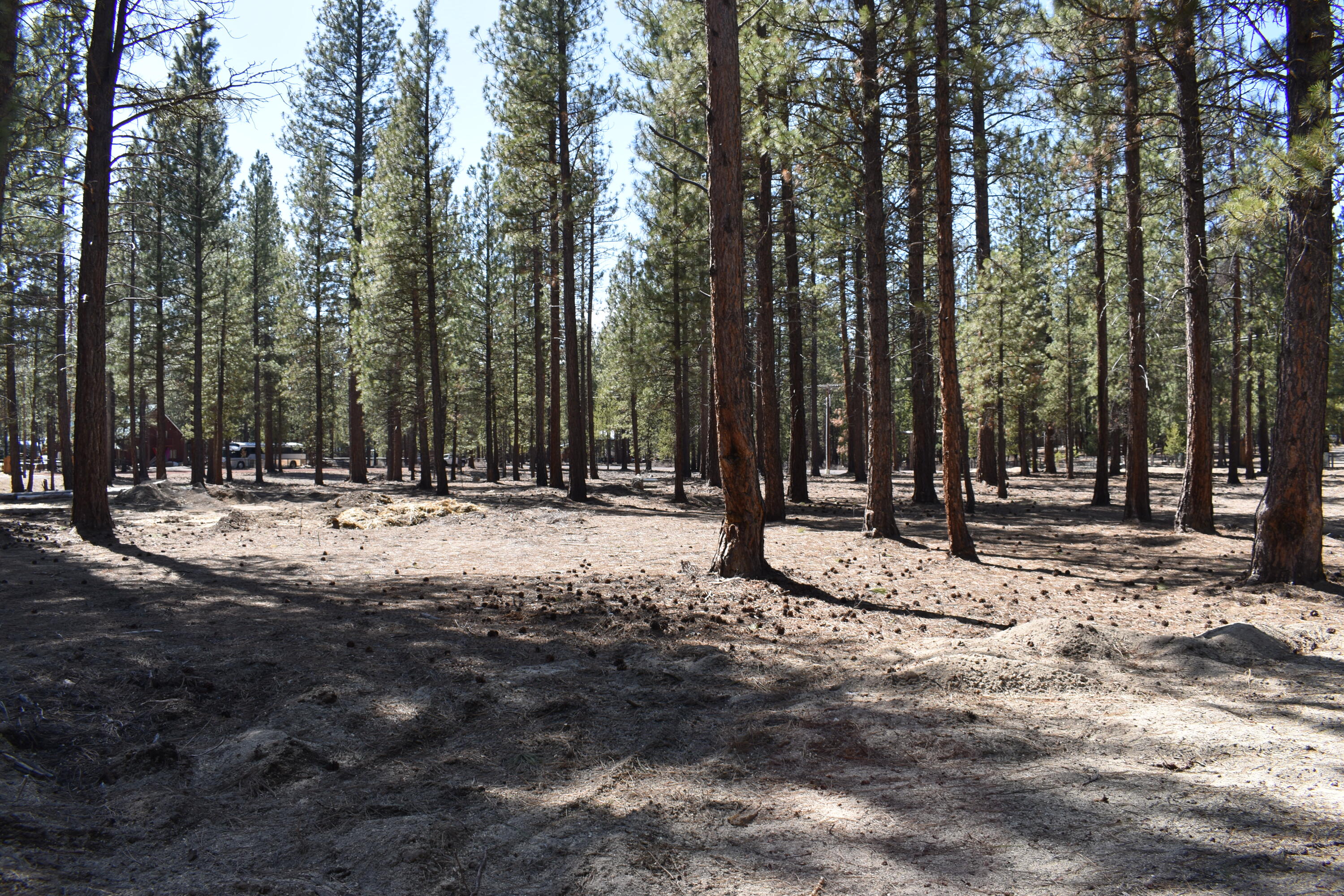 Little River Ranch - Land