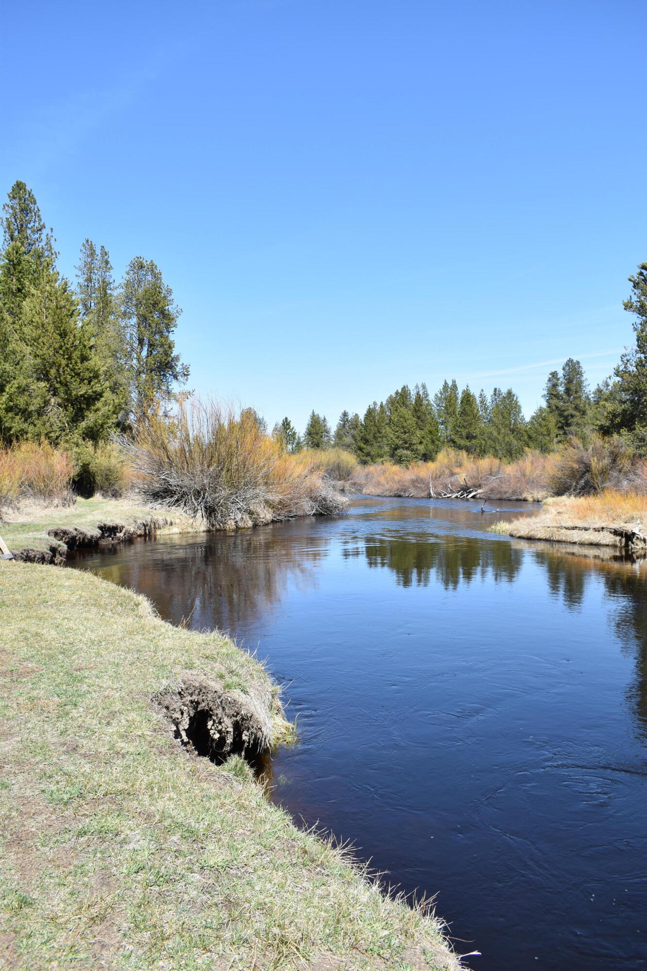 Little River Ranch - Land