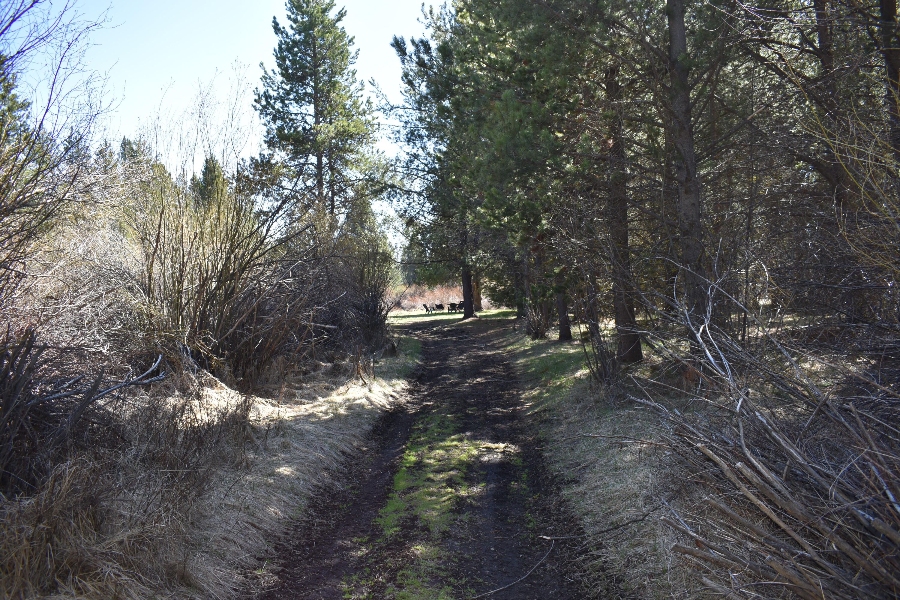 Little River Ranch - Land