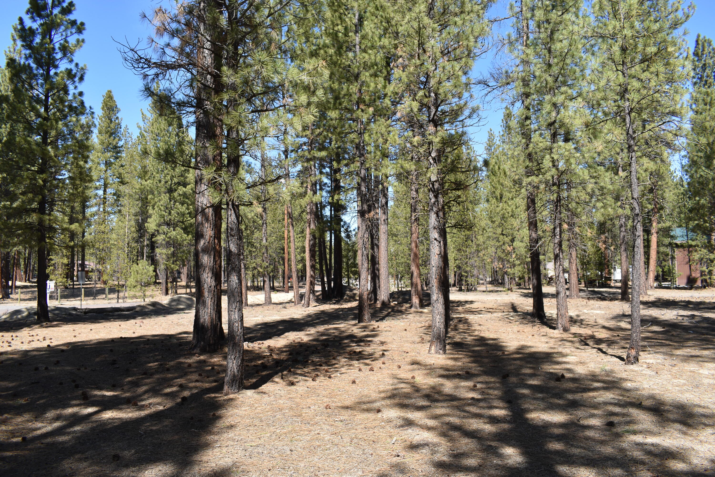 Little River Ranch - Land