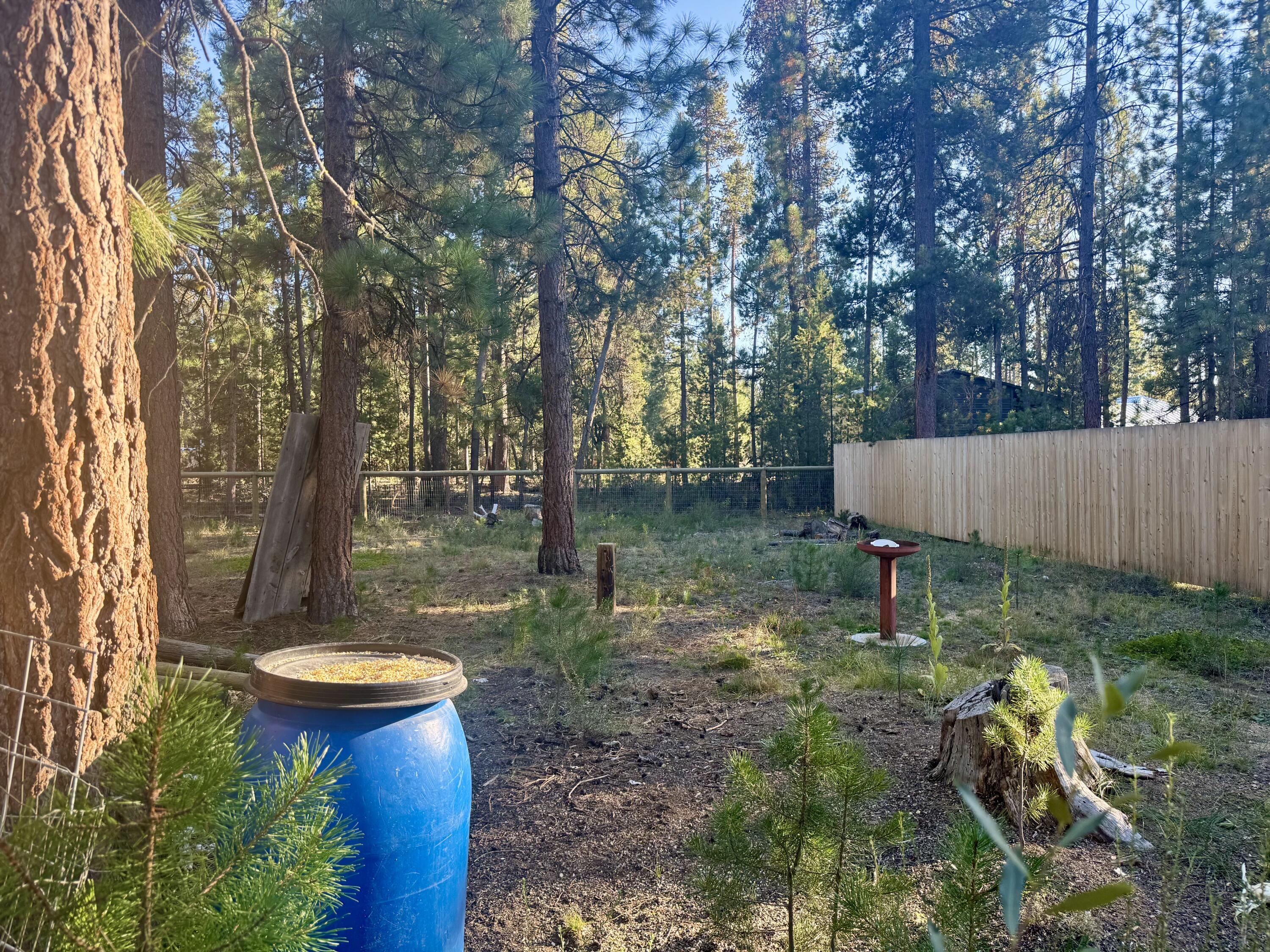 River Pine Estates - Residential