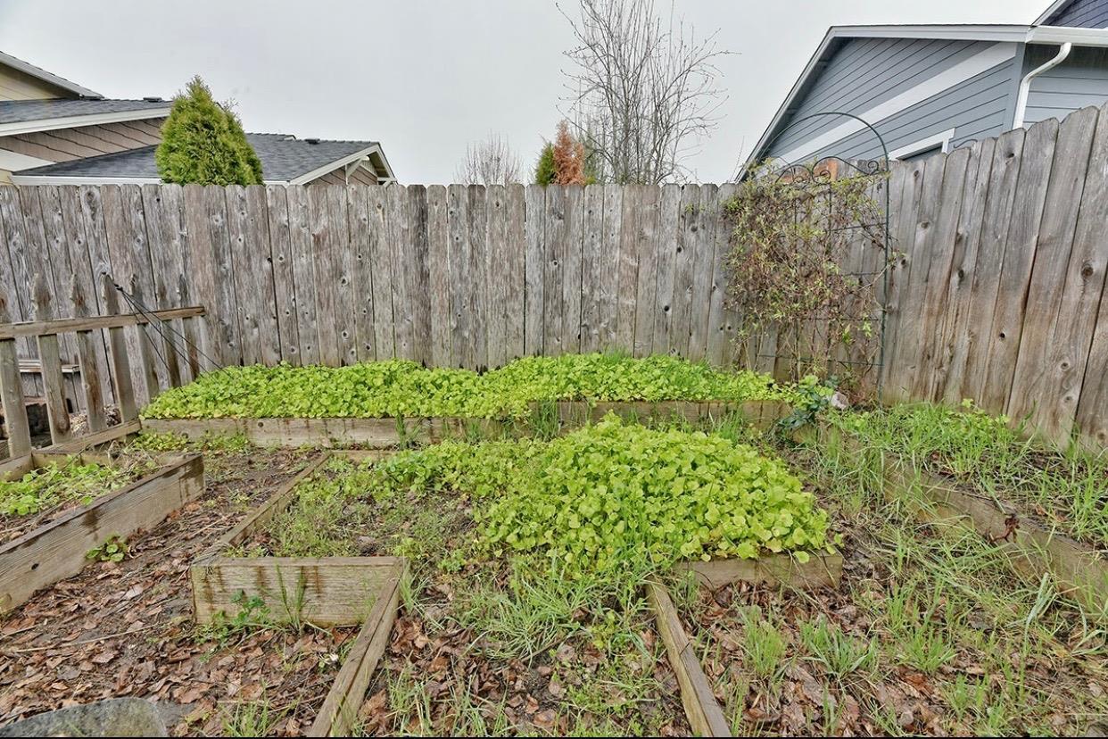 Lithia View Subdivision Phase 2 - Residential