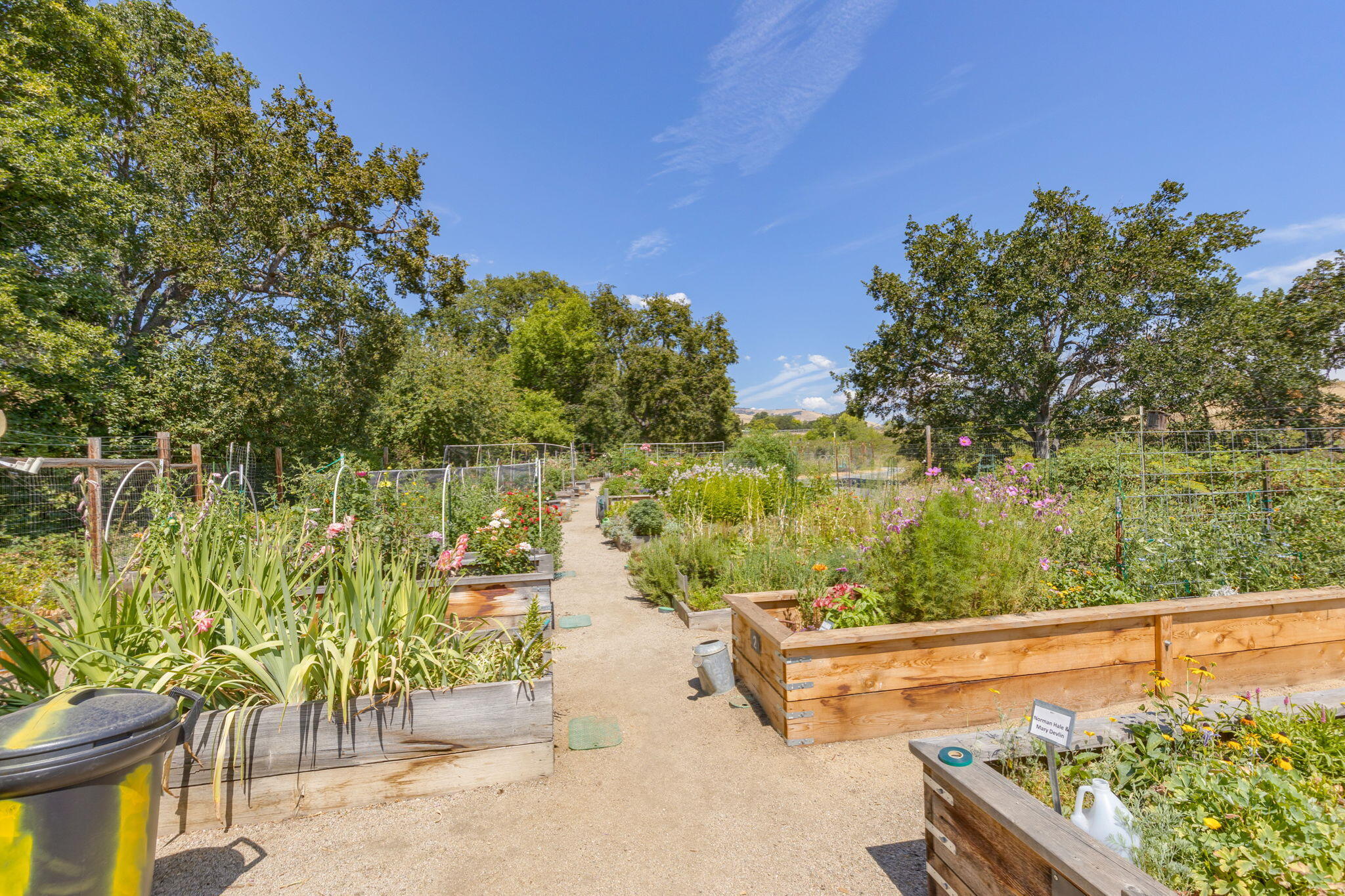 Mountain Meadows Subdivision Phase 1 - Residential