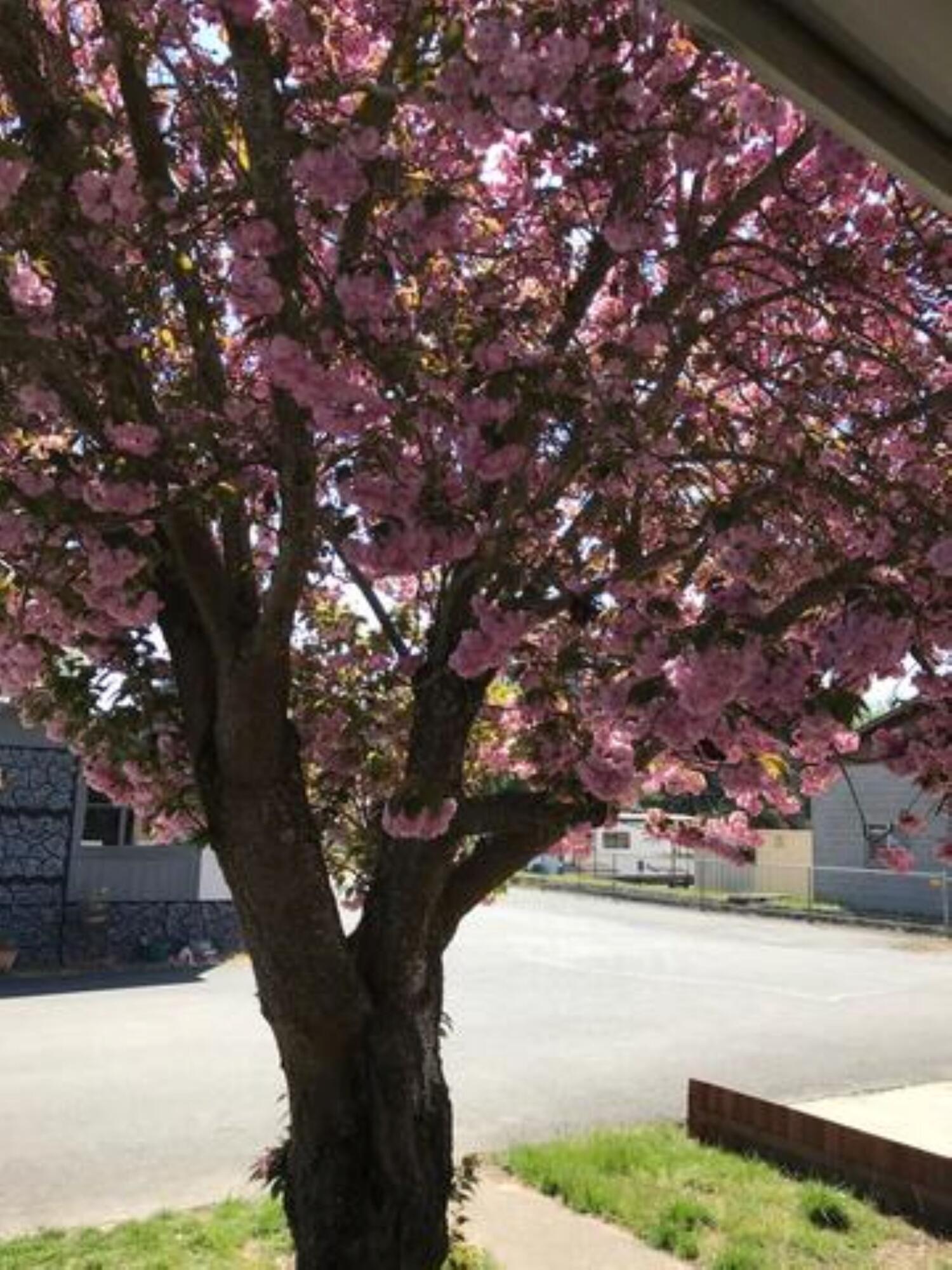 Country Estates MHC - Residential