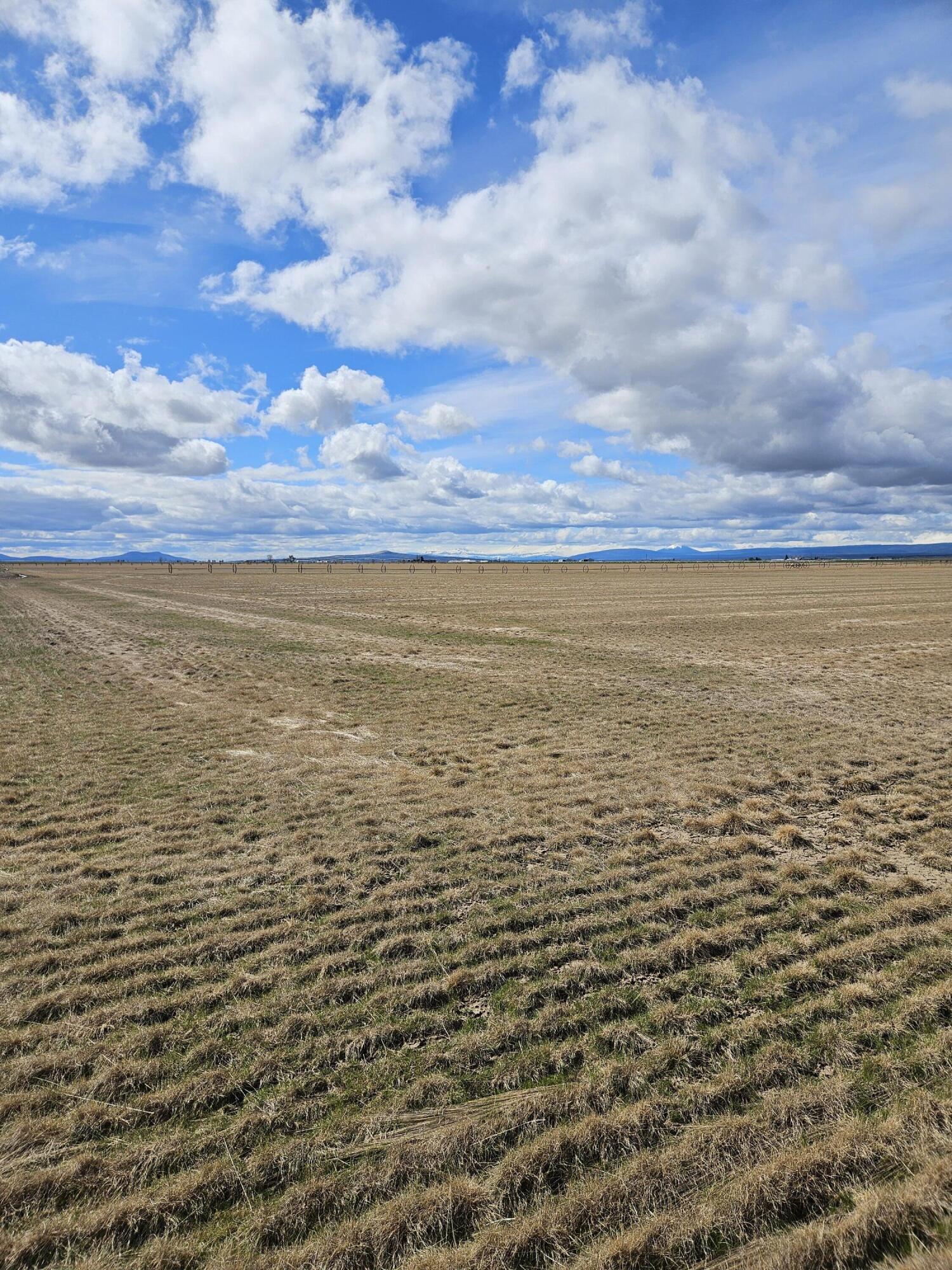 North Madras Heights - Farm