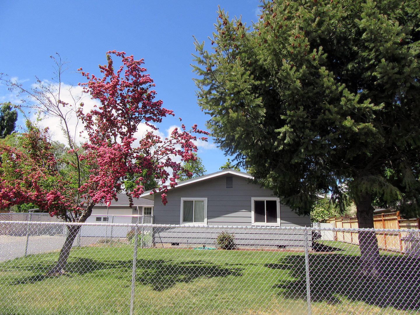 Meadows - Residential