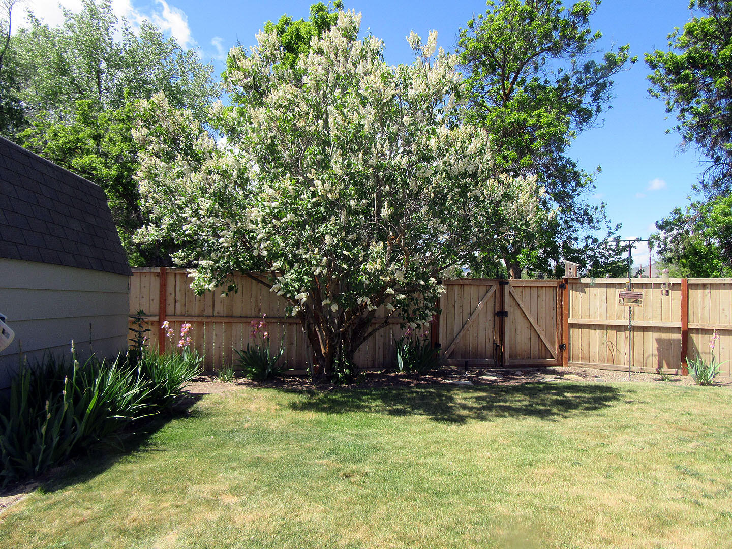 Meadows - Residential