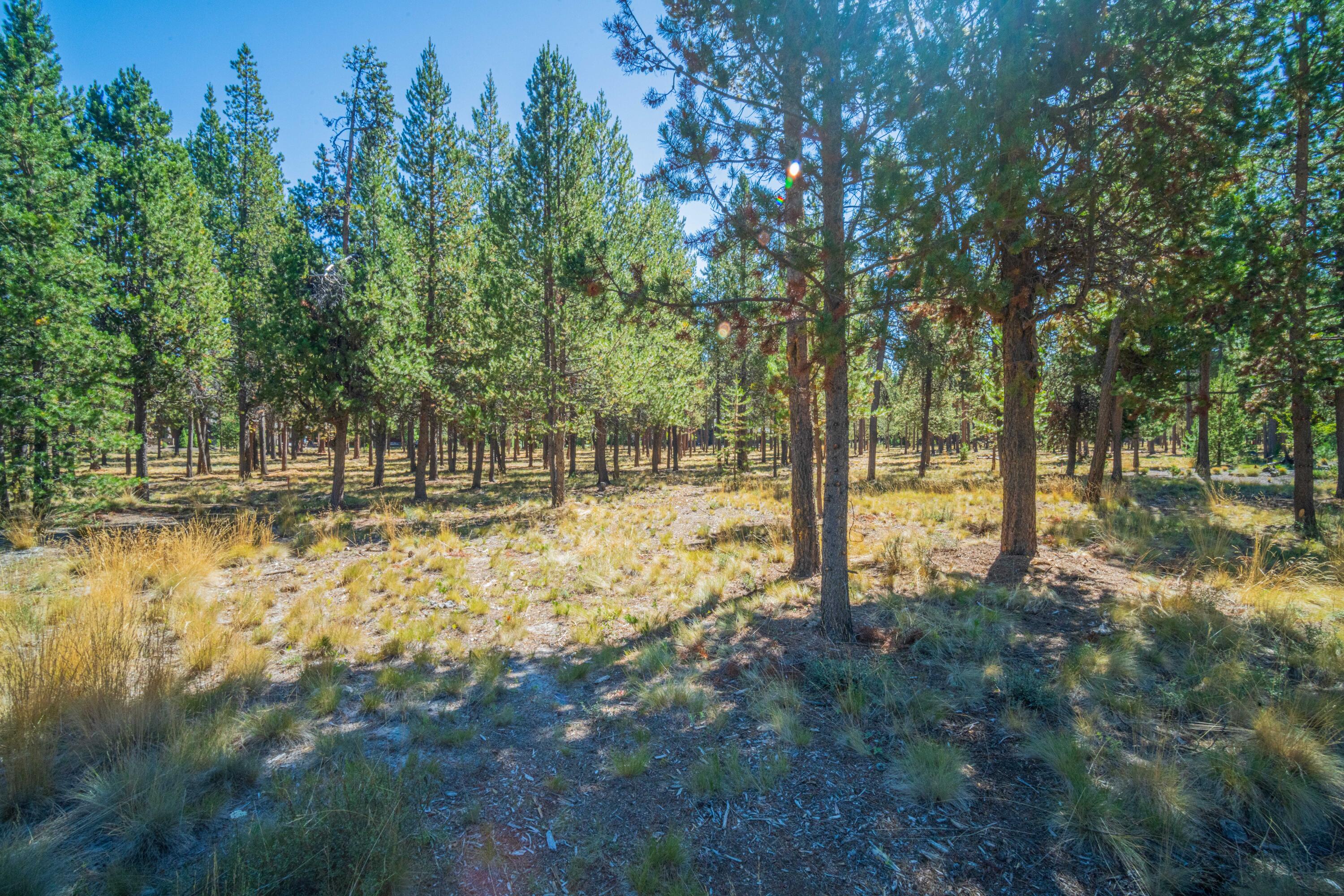 Caldera Springs - Land