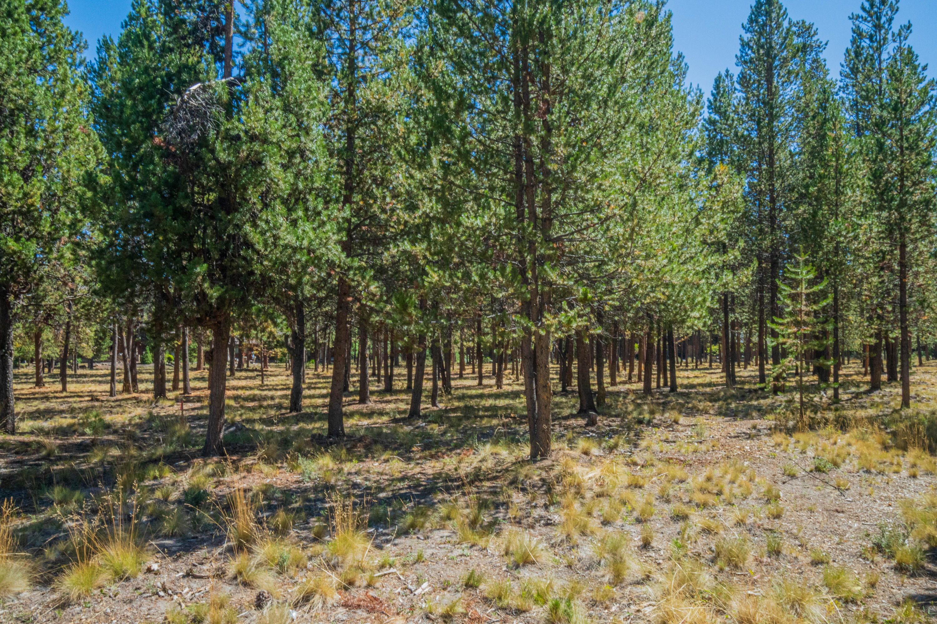 Caldera Springs - Land