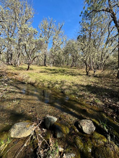 Tiny photo for 541 Board Shanty Road, Grants Pass, OR 97527 (MLS # 220217115)