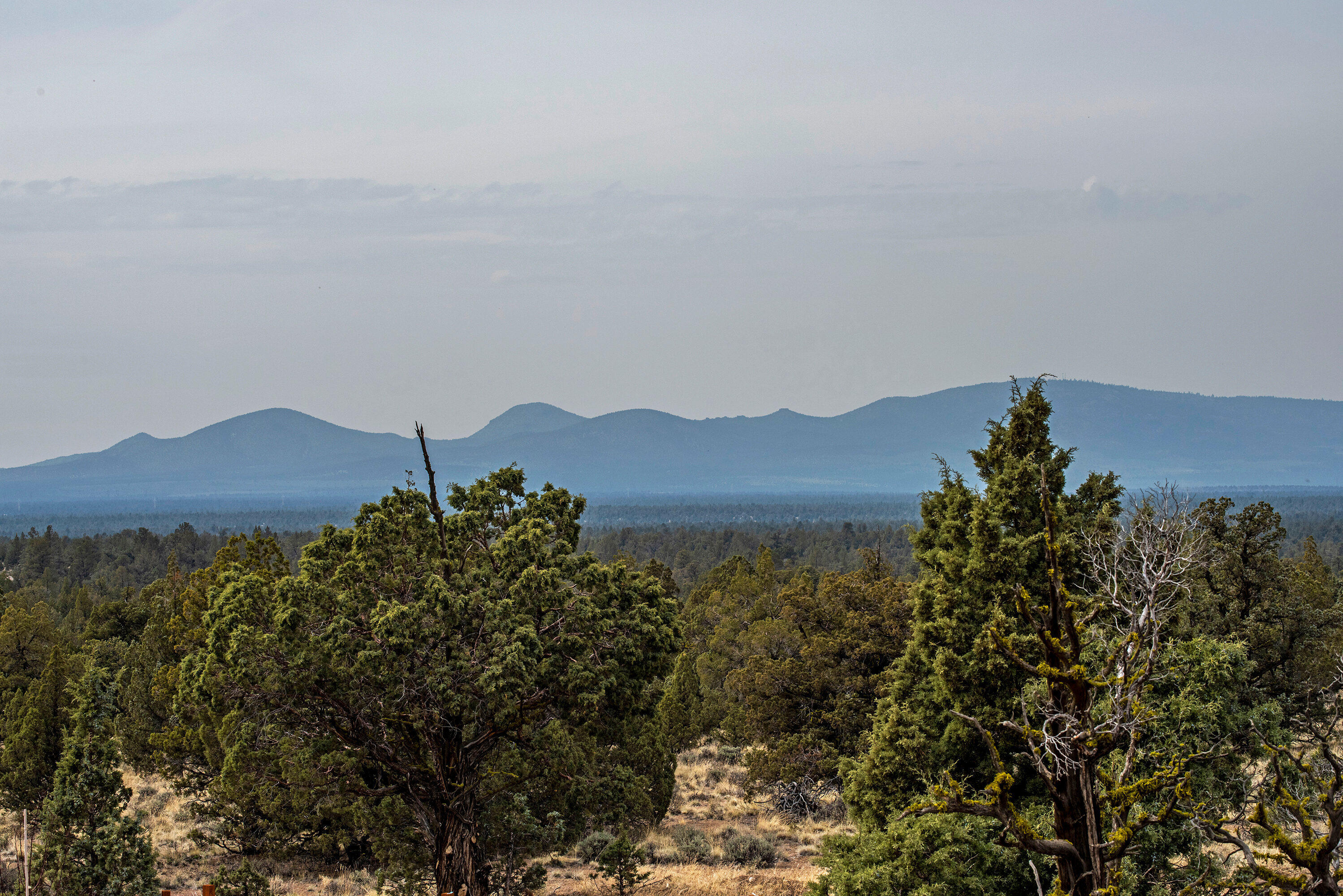 Juniper Acres - Residential