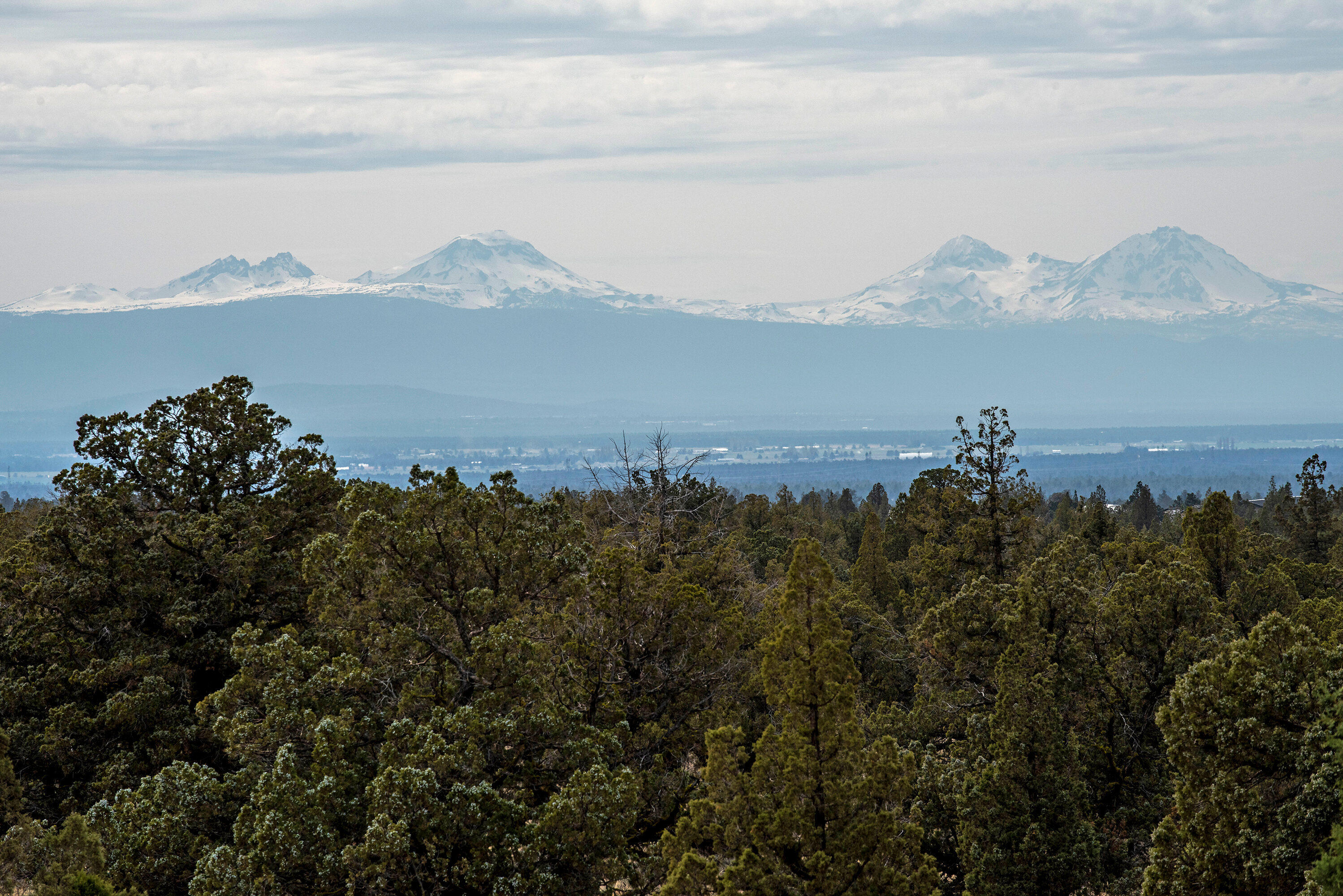 Juniper Acres - Residential