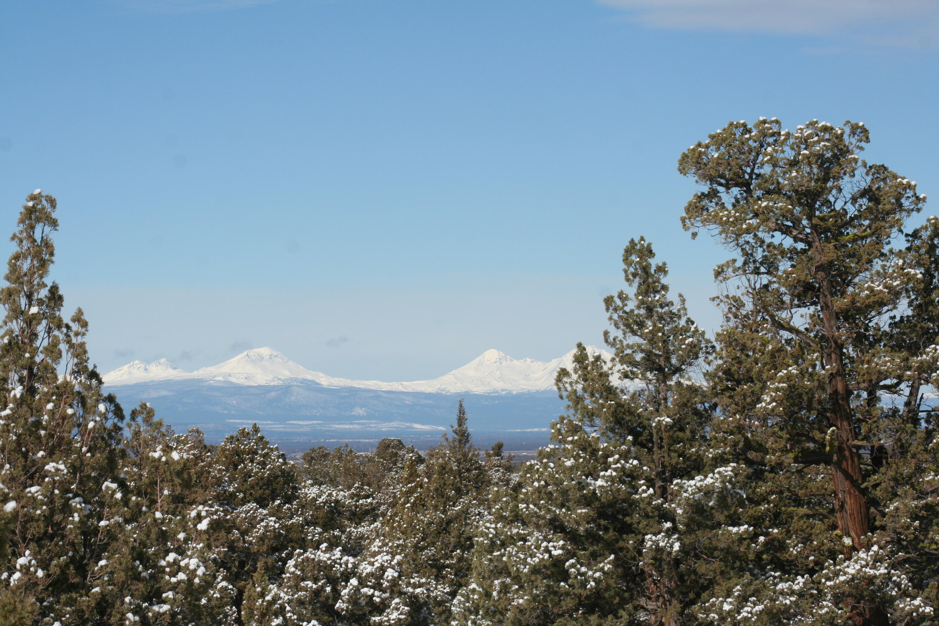 Juniper Acres - Residential
