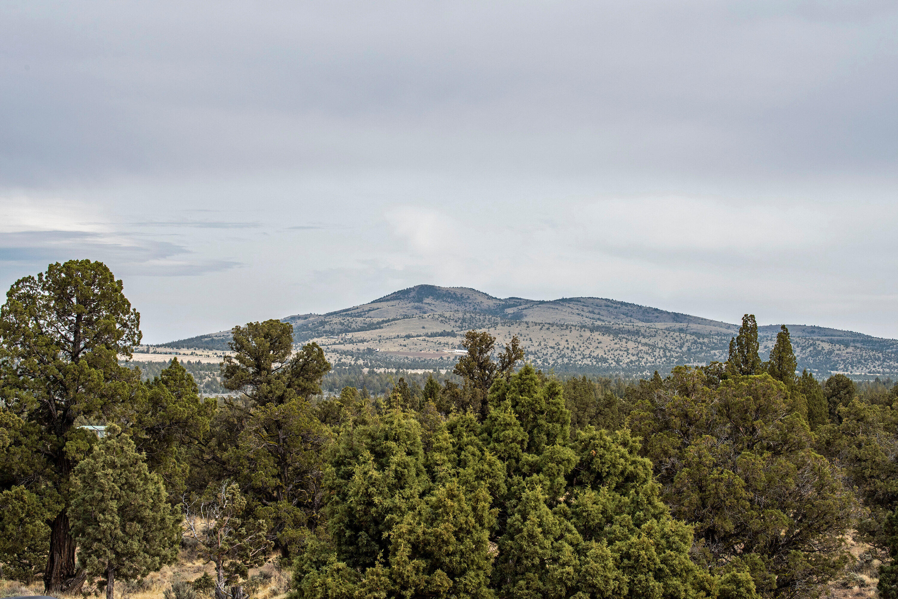 Juniper Acres - Residential