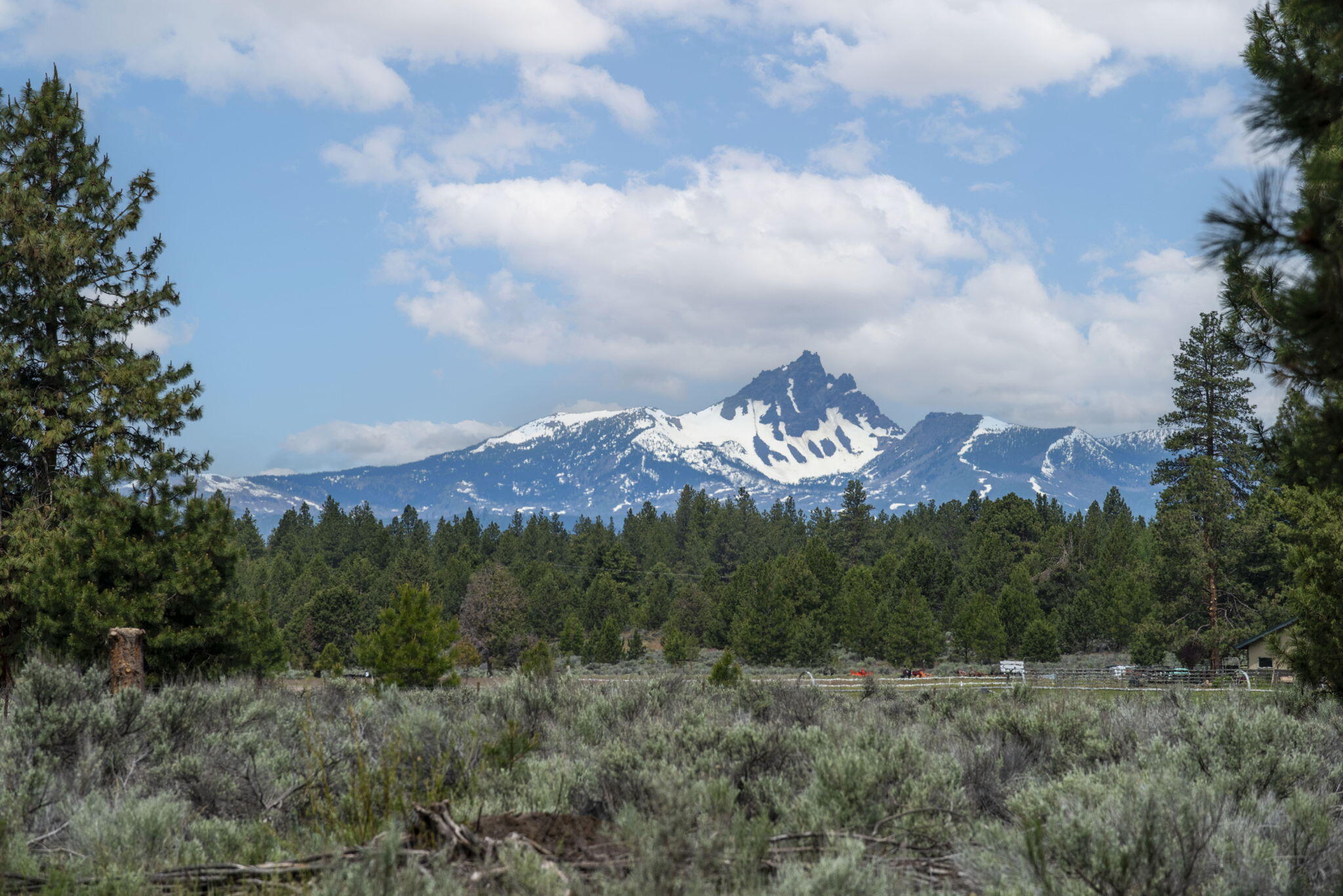 Barclay Meadows - Residential