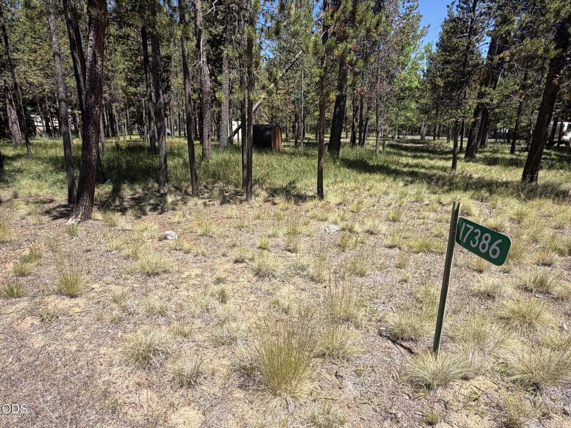 17386 Golden Eye Drive