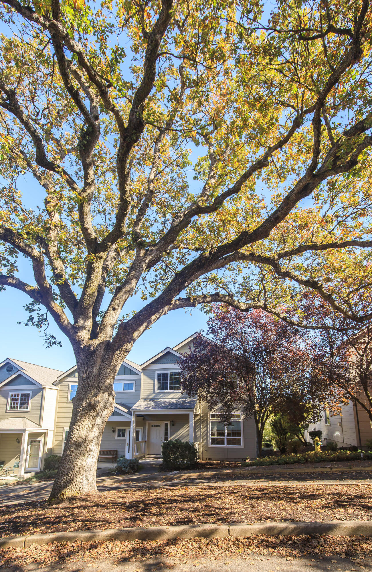 Mountain Creek Estates Phase 2 - Residential