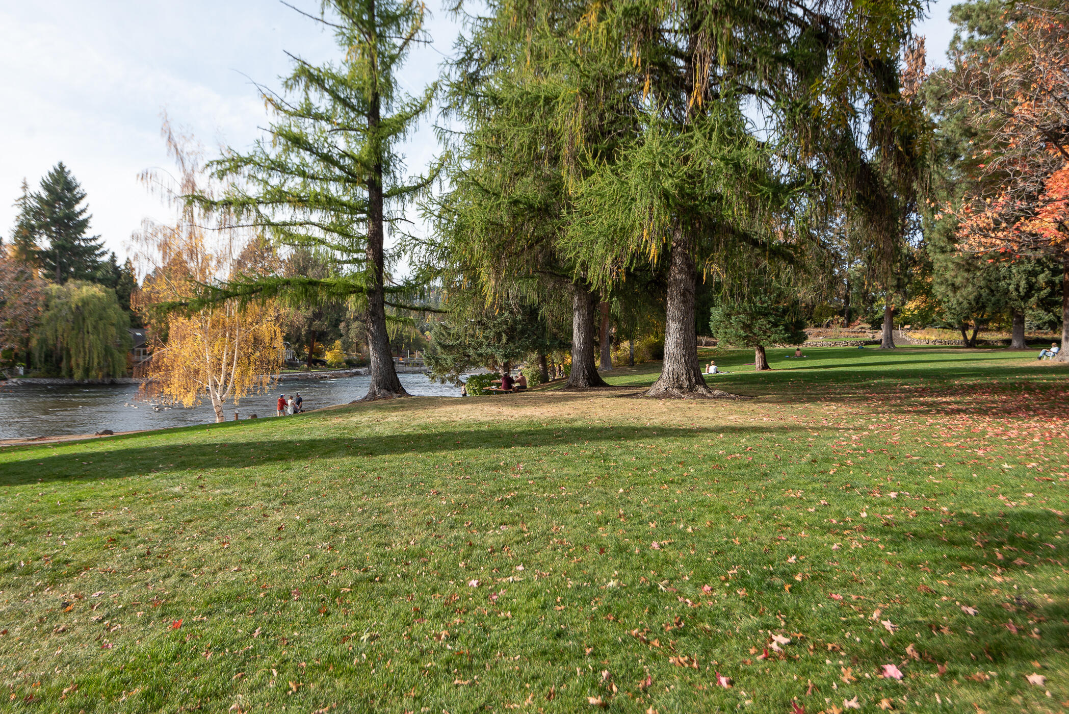 River Terrace - Residential