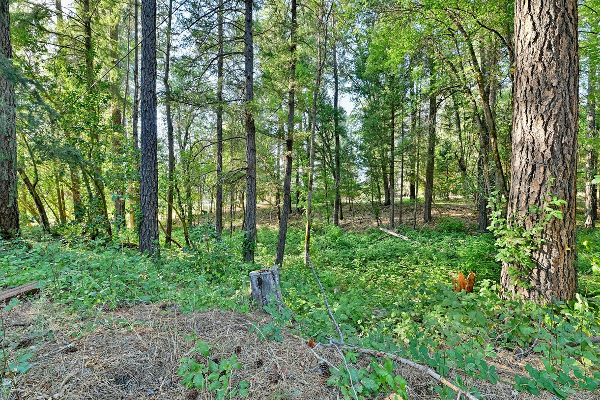 Pleasant Valley Farm Tracts - Residential