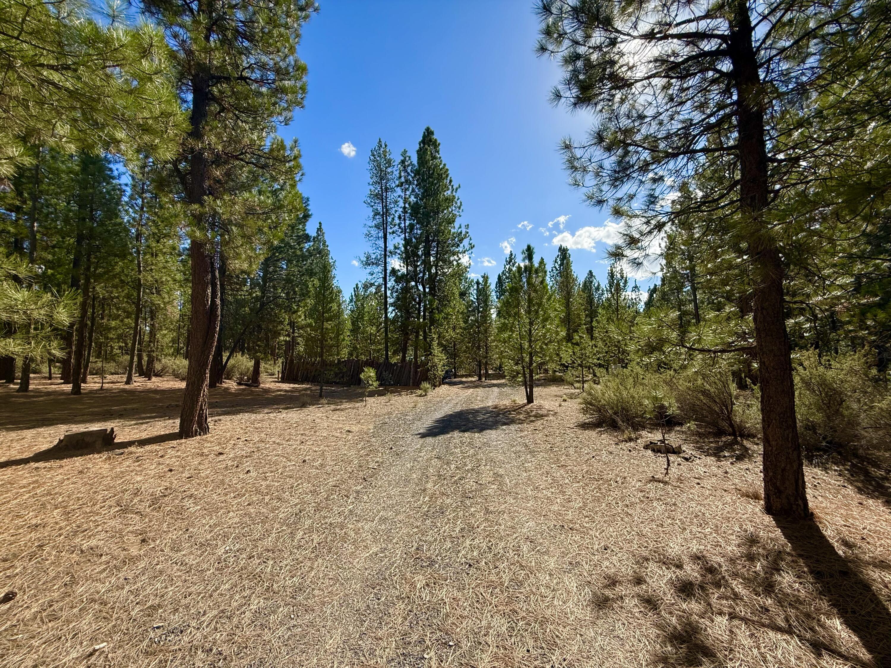 Sprague River Pines - Land