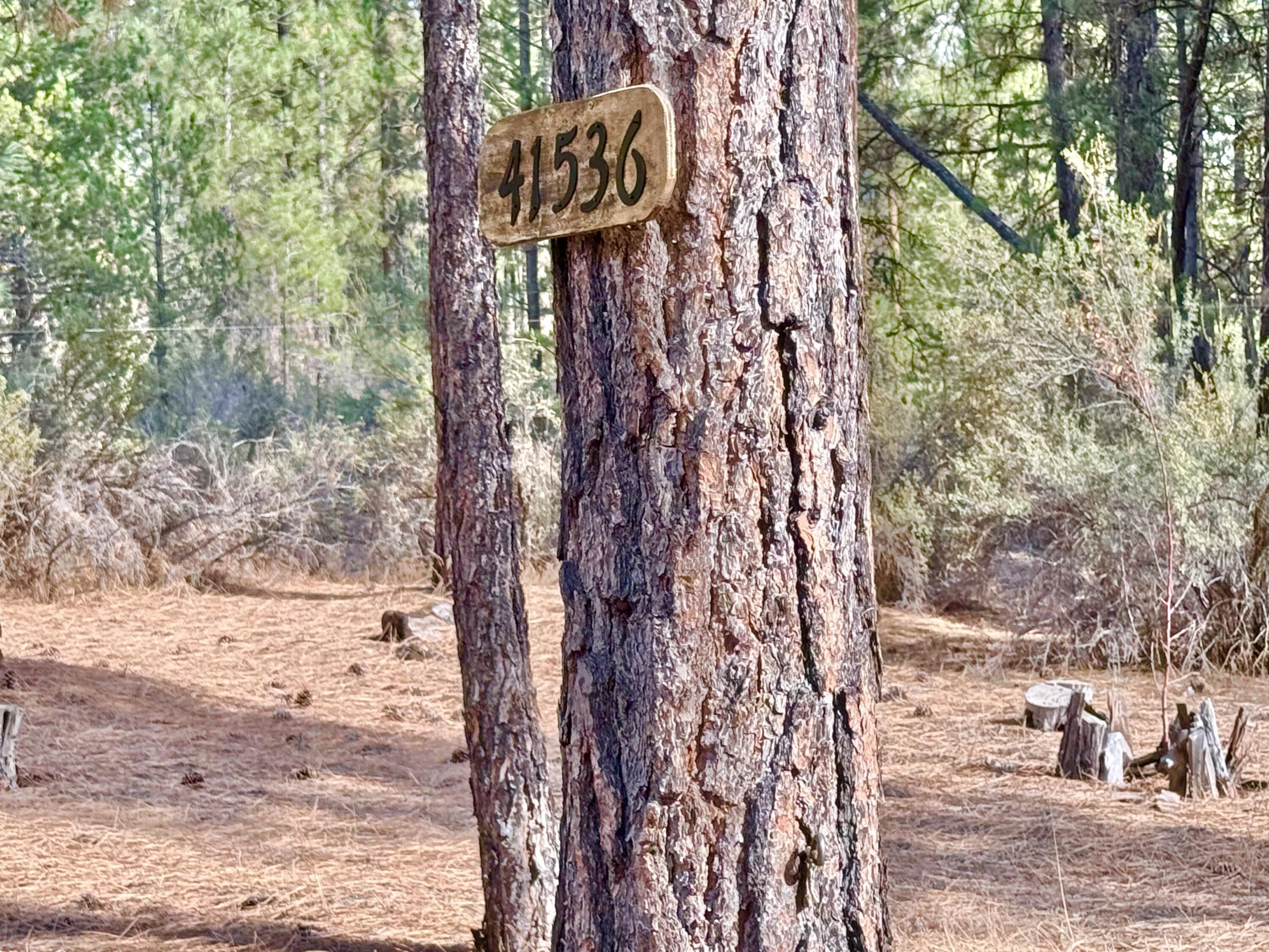 Sprague River Pines - Land