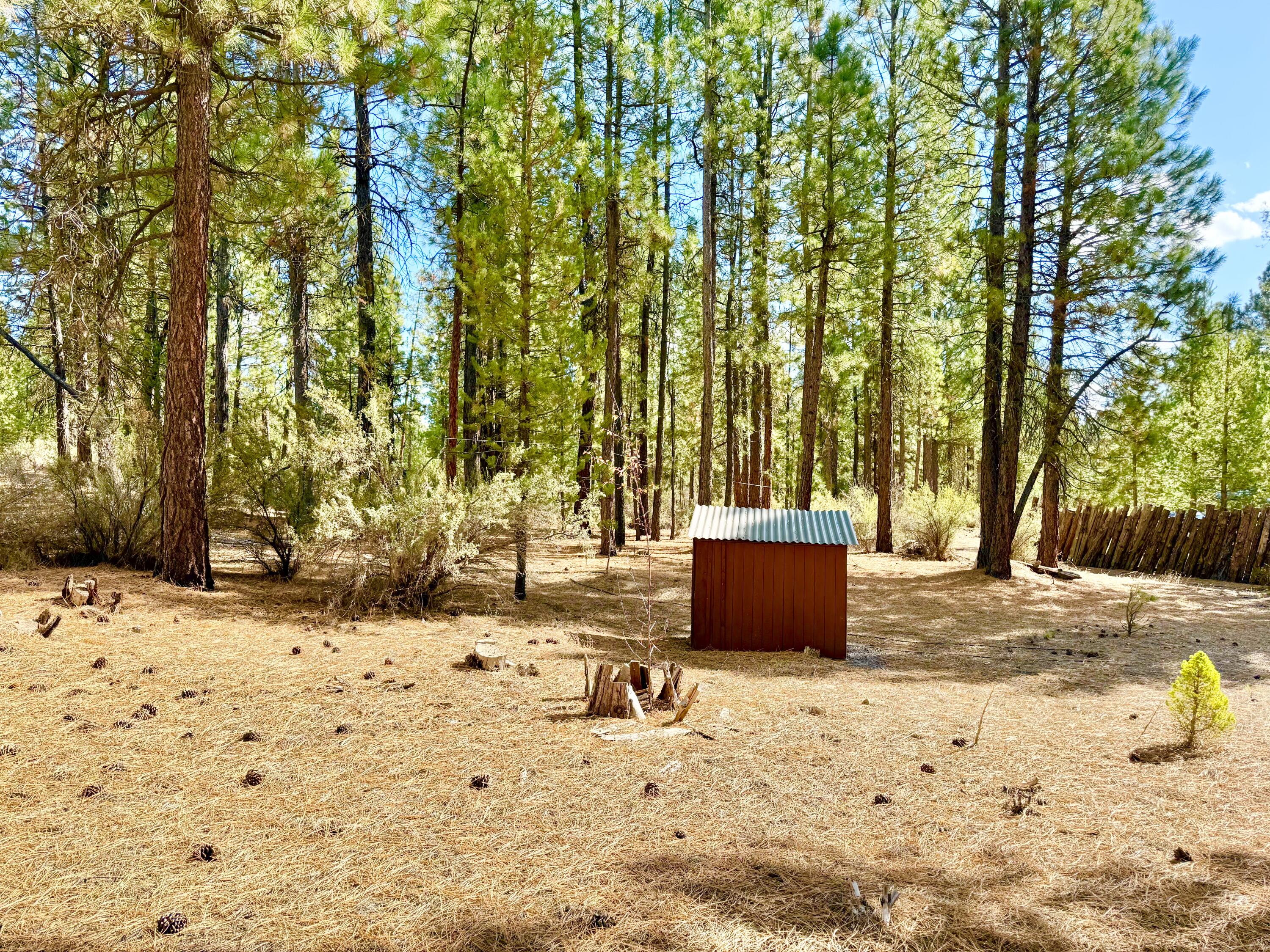 Sprague River Pines - Land