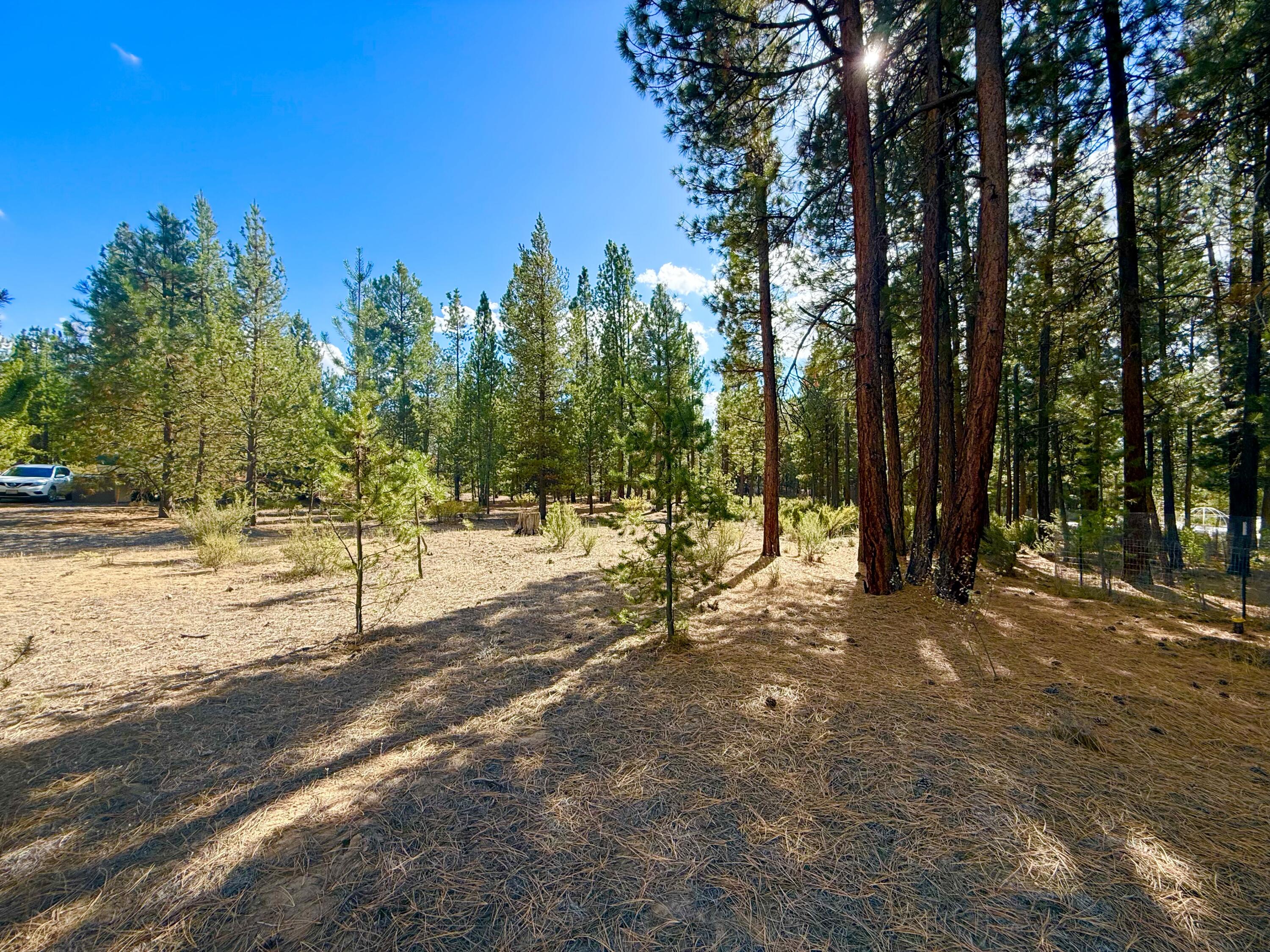 Sprague River Pines - Land