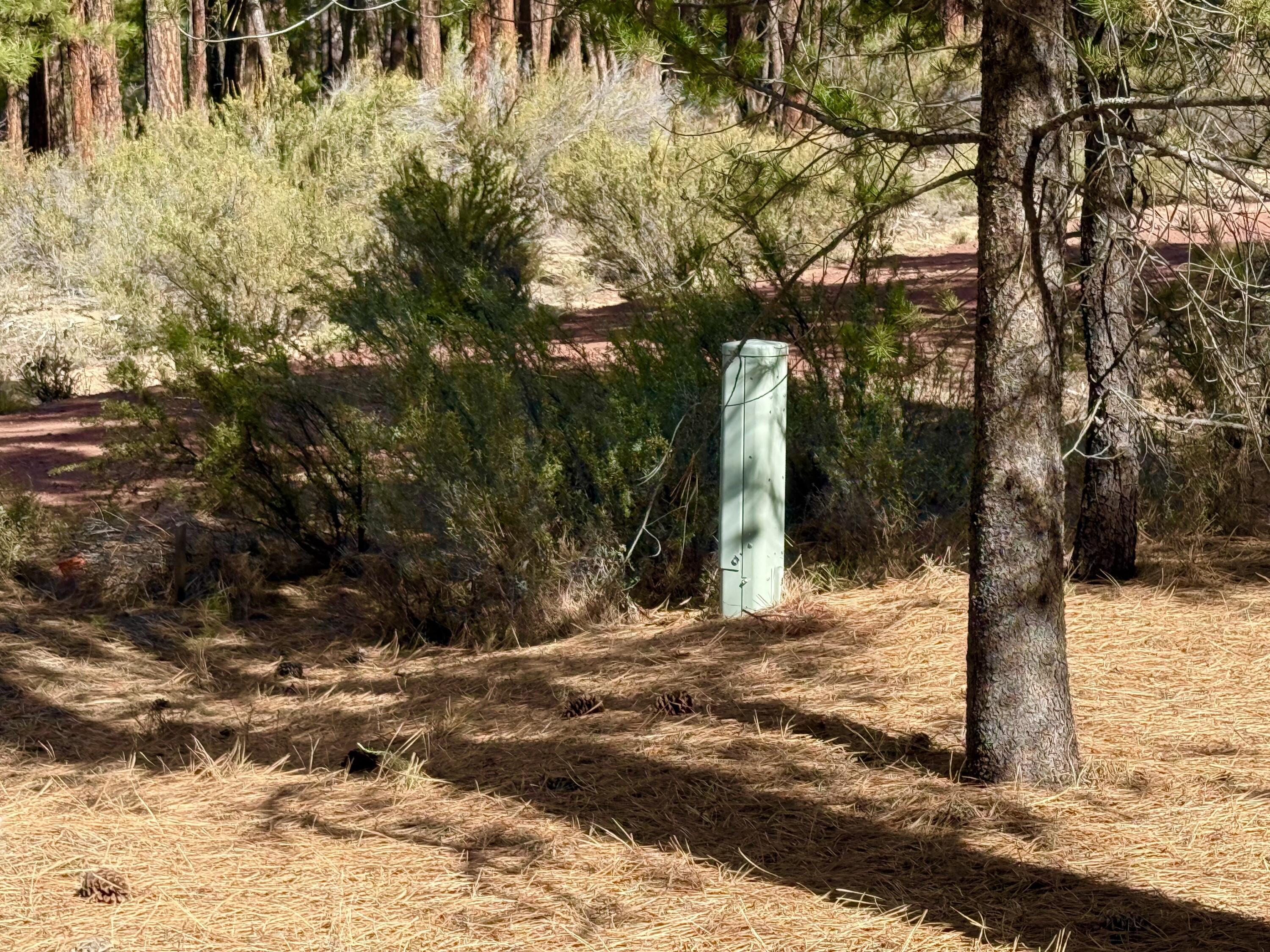 Sprague River Pines - Land