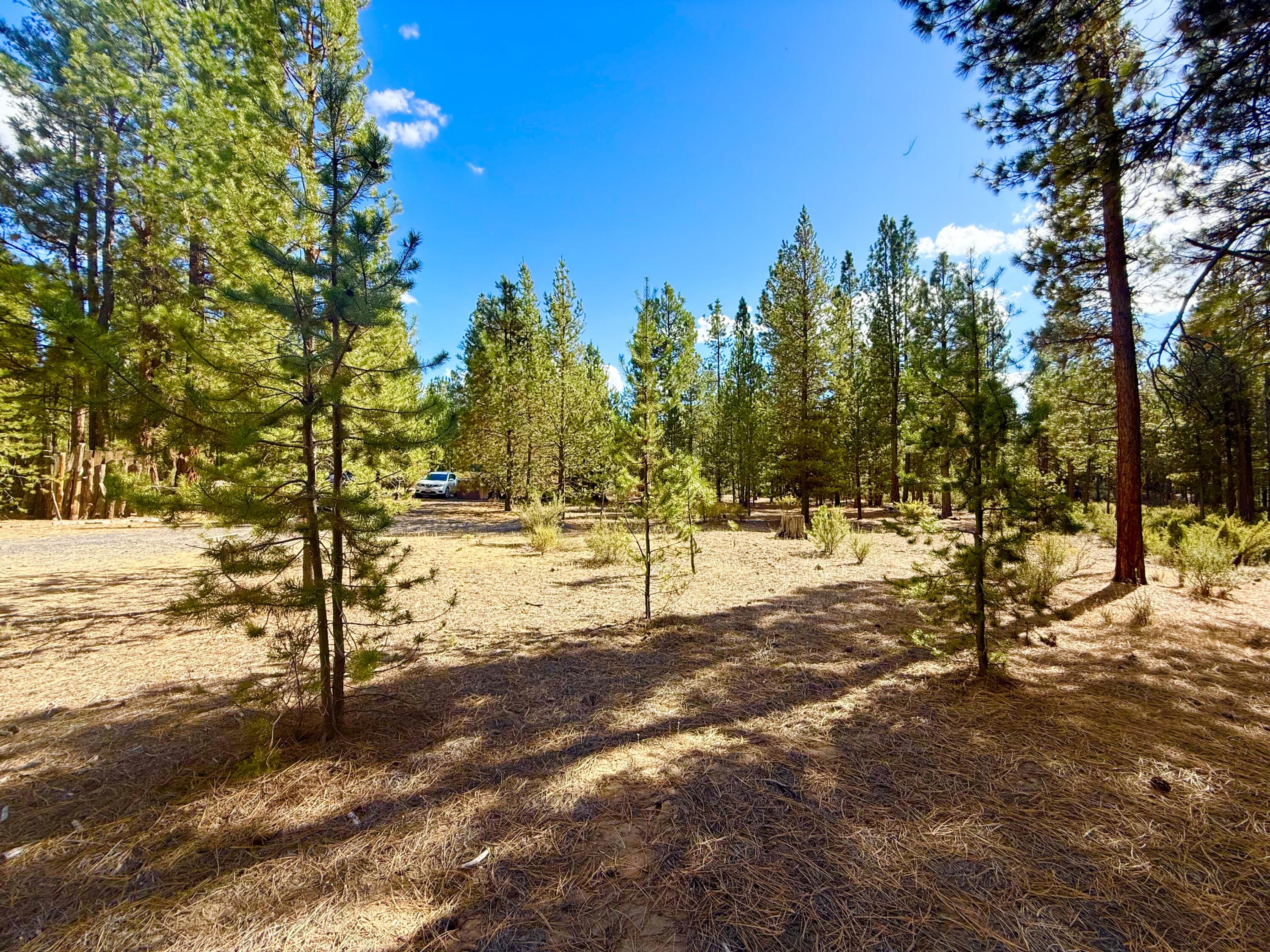 Sprague River Pines - Land
