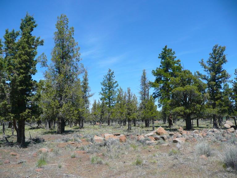 Squaw Creek Canyon - Land