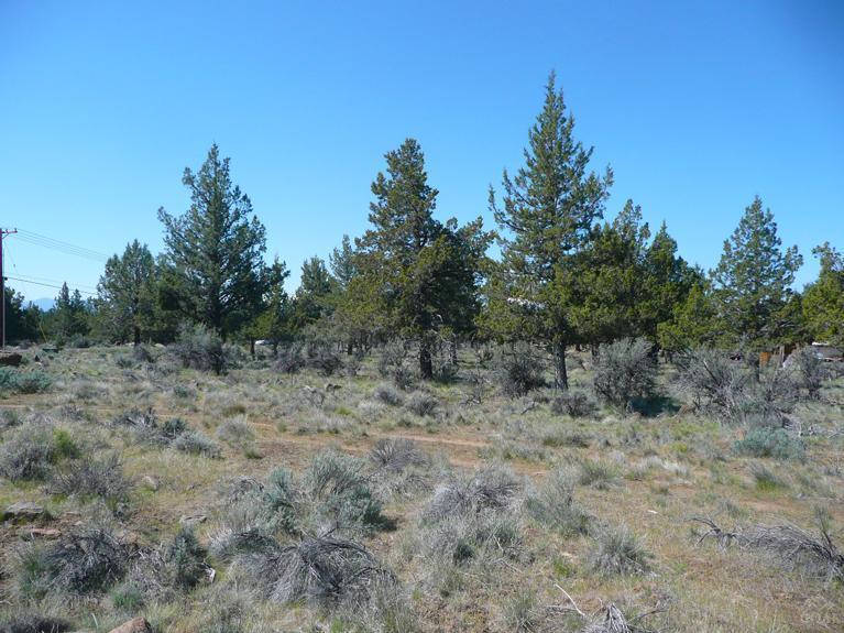 Squaw Creek Canyon - Land