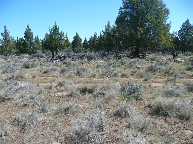 Squaw Creek Canyon - Land