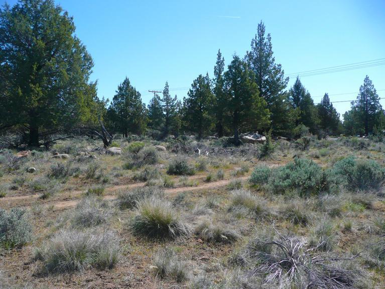 Squaw Creek Canyon - Land