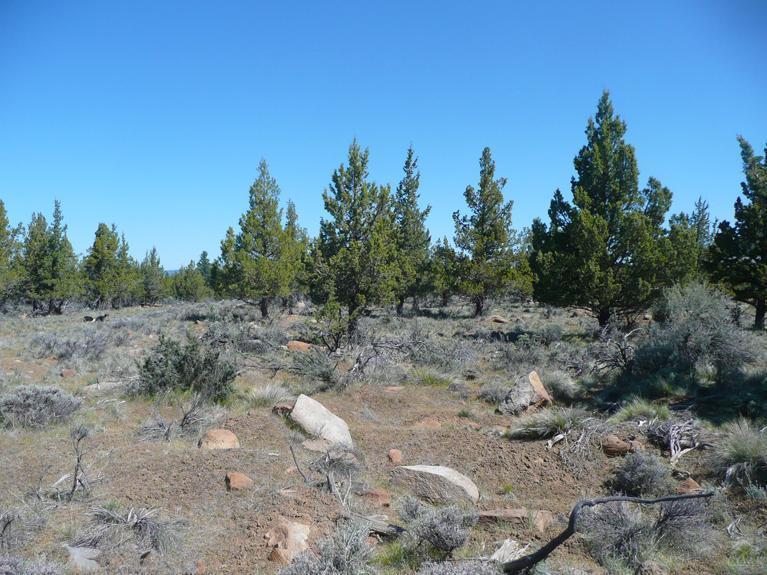 Squaw Creek Canyon - Land