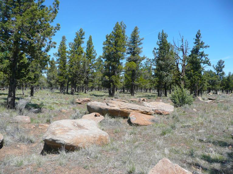 Squaw Creek Canyon - Land