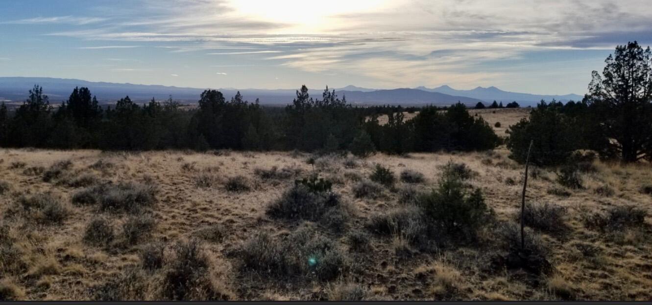 Ochoco Land + Livest - Land