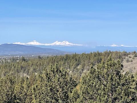 Ochoco Land + Livest - Land