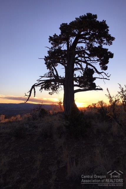 Riverside Ranch - Land