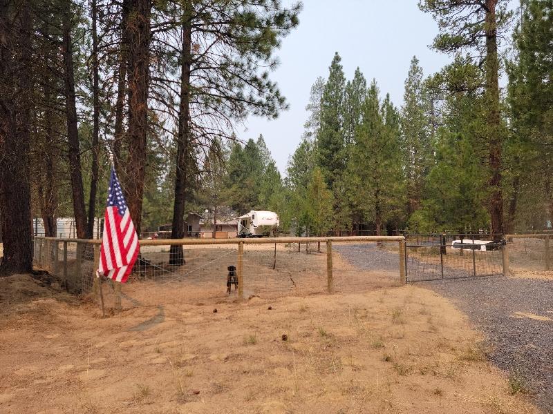 Ponderosa Pines - Land