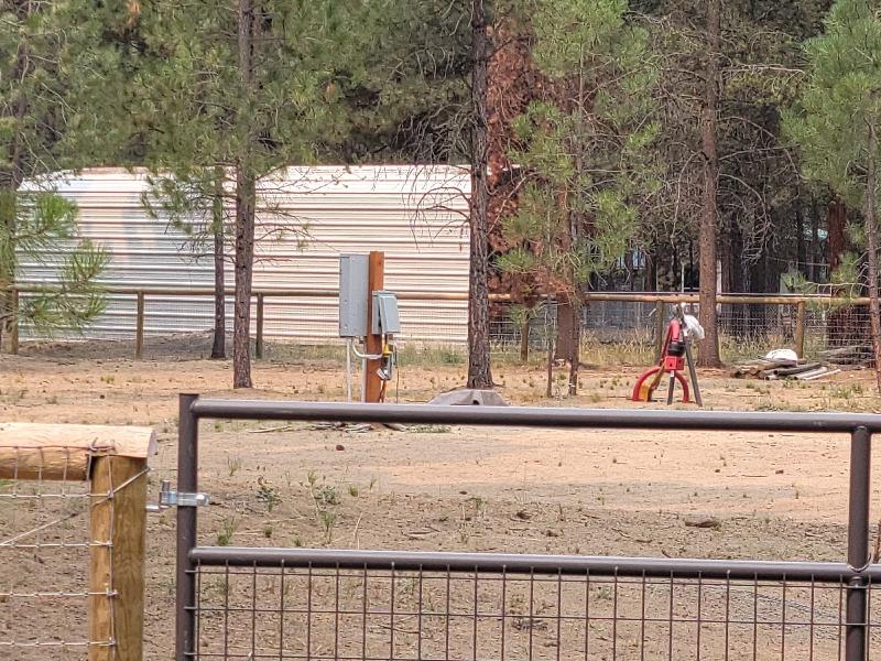Ponderosa Pines - Land