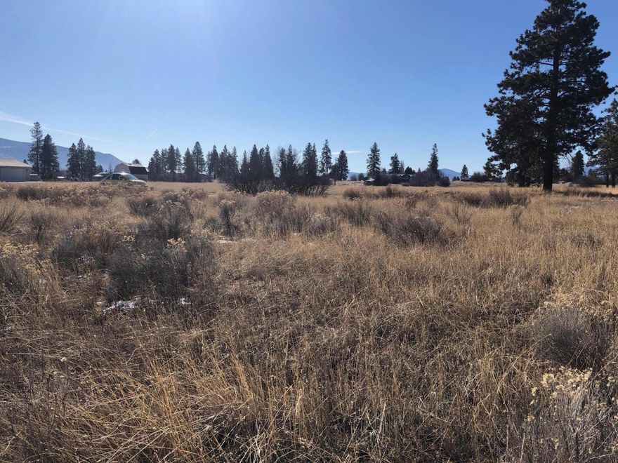 Here is your opportunity to purchase a great lot located in the Oregon Shores Unit 2 which is located near Klamath Agency Lake.  So many great reasons to live here, power is low cost, after hook up fee for water, there is no more water fee, property owners and guests have use of the private park at the lake which has bathrooms, showers, RV hookups and campsites and more.