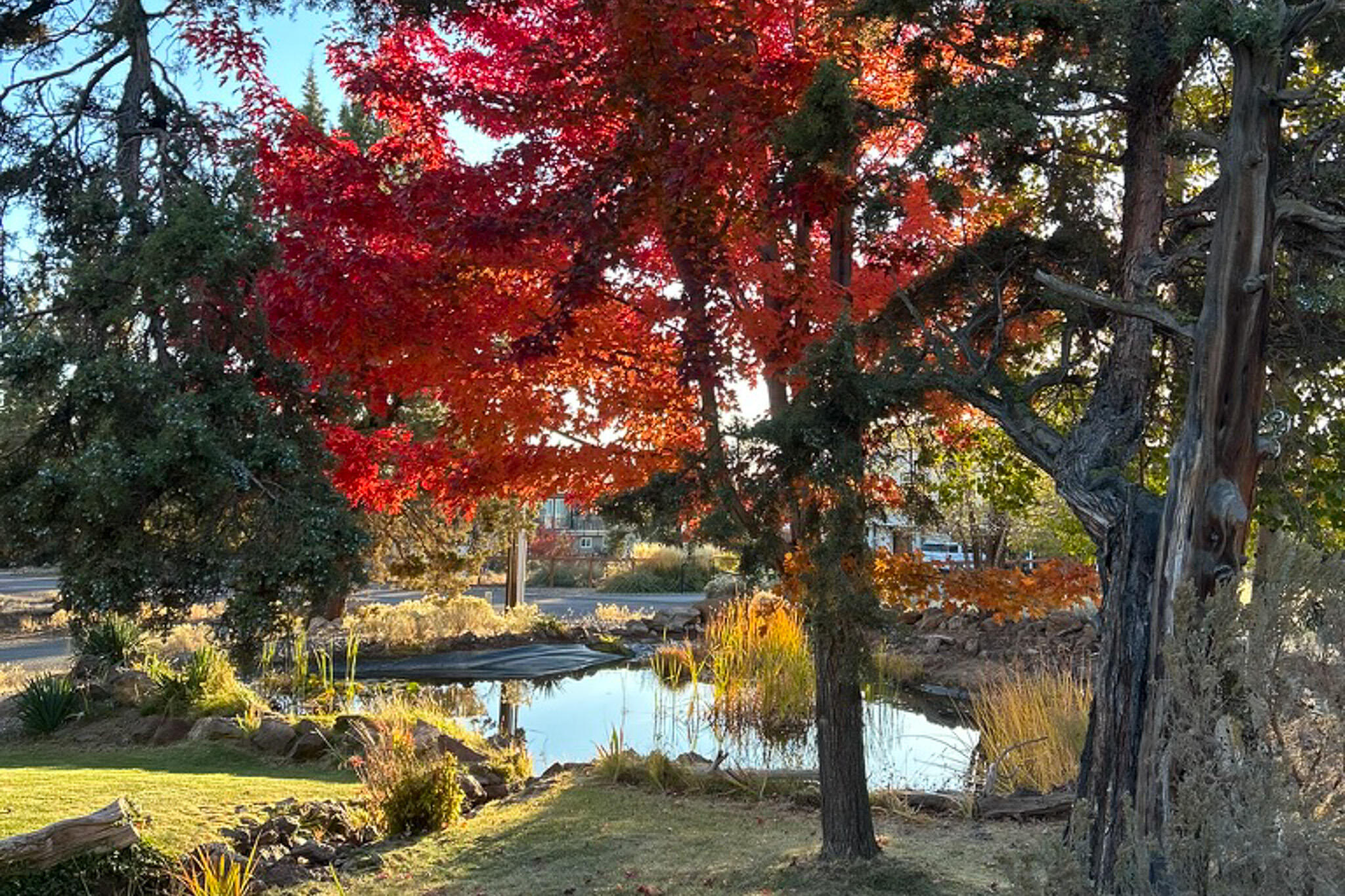 Whispering Pines - Residential