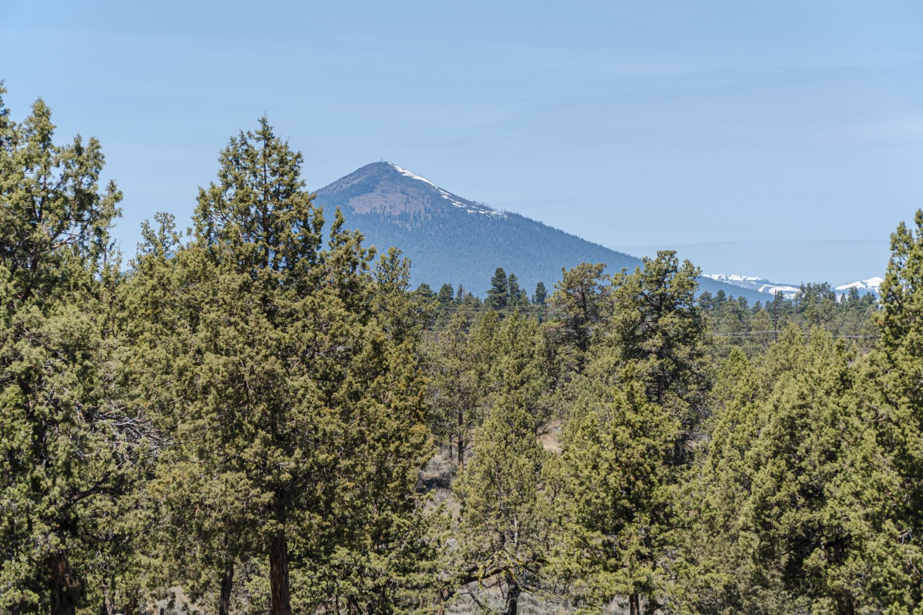 Forked Horn Estate - Residential