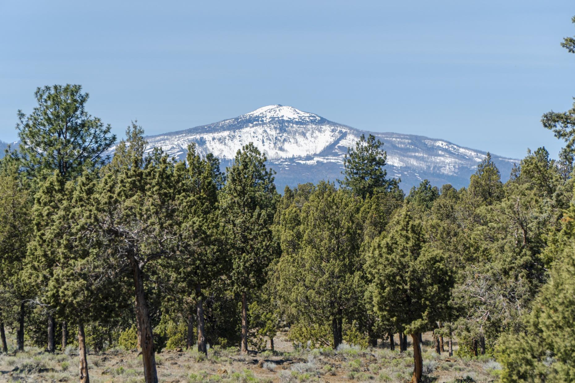 Forked Horn Estate - Residential