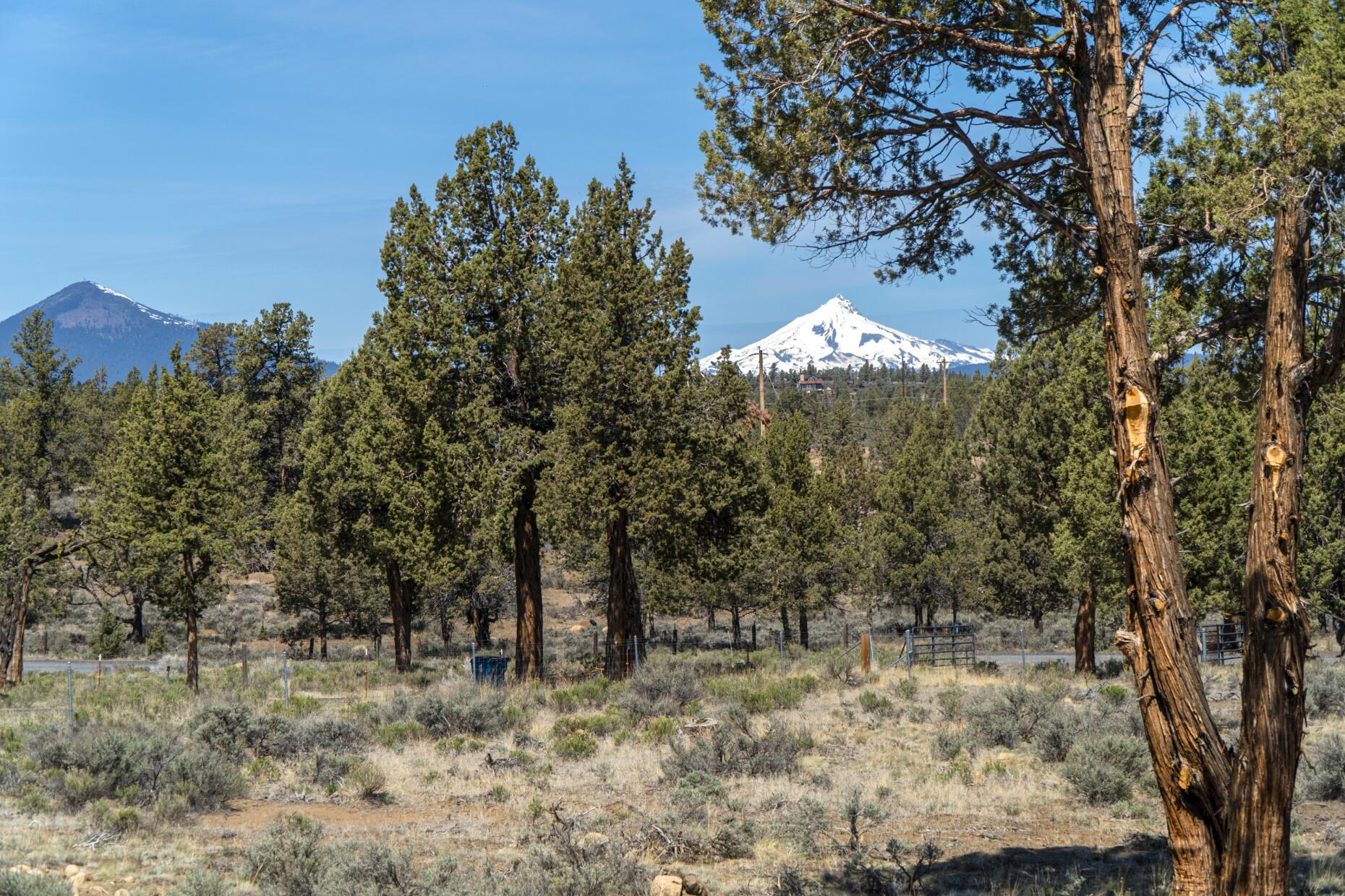 Forked Horn Estate - Residential