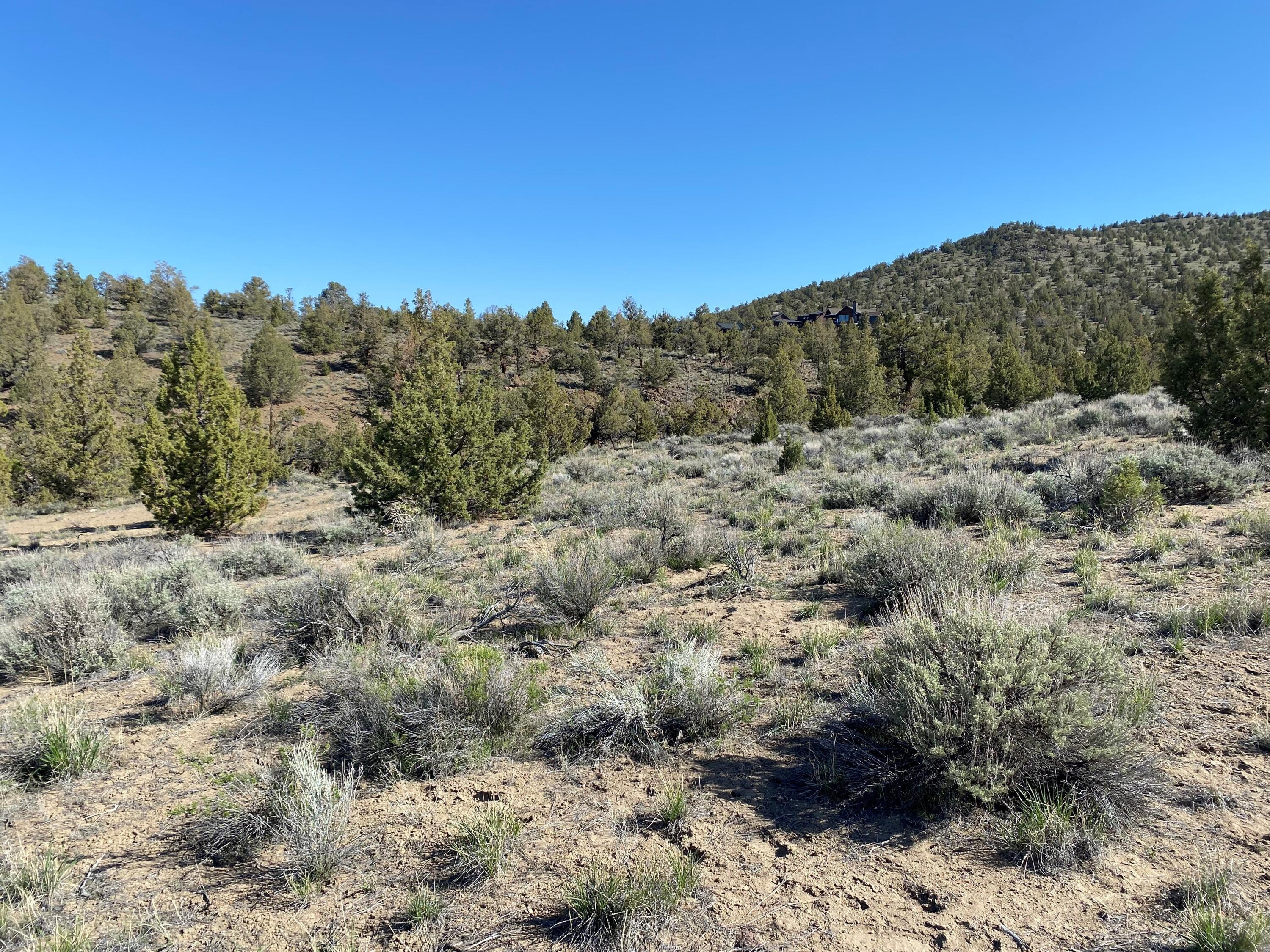 SW Pinnacle Court Homesite 700