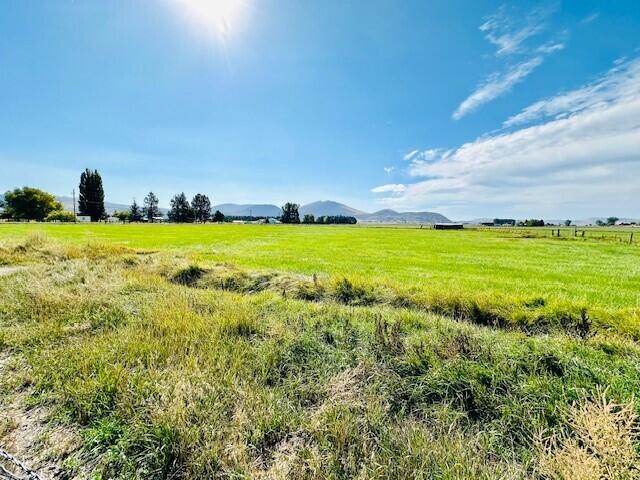 Rolling Hills - Land